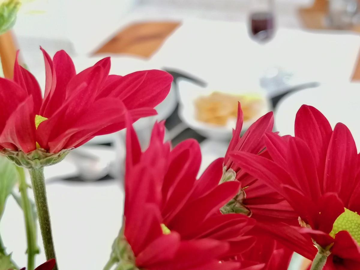 Americas Holiday Home Πλάγια ντε λας Αμέρικας Εξωτερικό φωτογραφία